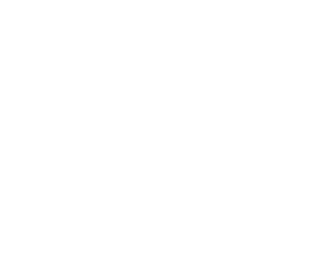 Structure Dome Restoration